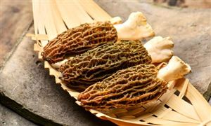 202九游娱乐官网4年中国网络游戏行业现状及发展趋势分析(图4)