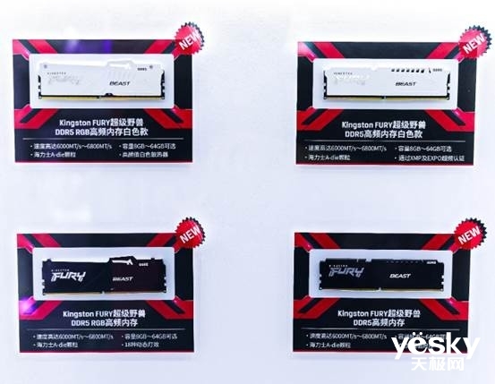 九游娱乐官网放肆游戏尽兴爱 金士顿存储绽放BiliBiliWorld2024(图5)